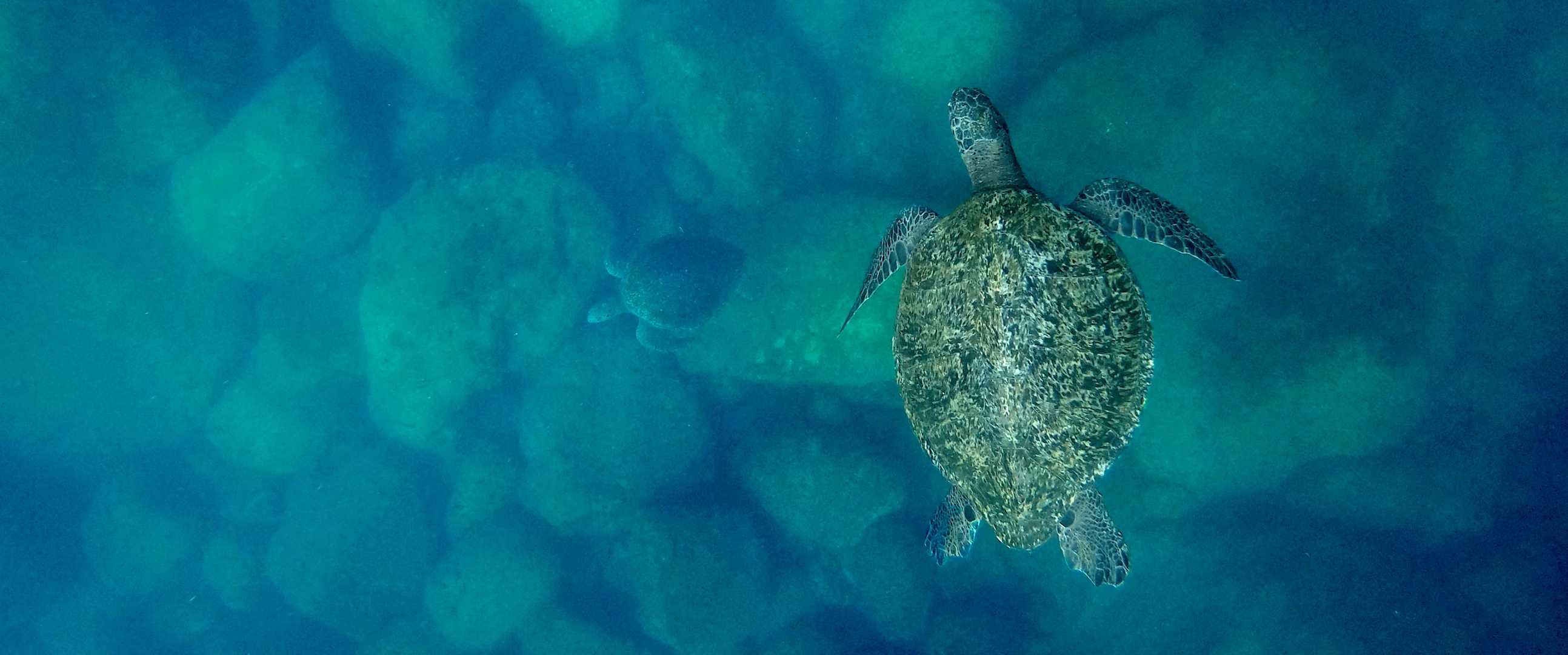 'El llanto de las tortugas', de Jaime Villa: familias que cuidan el mar