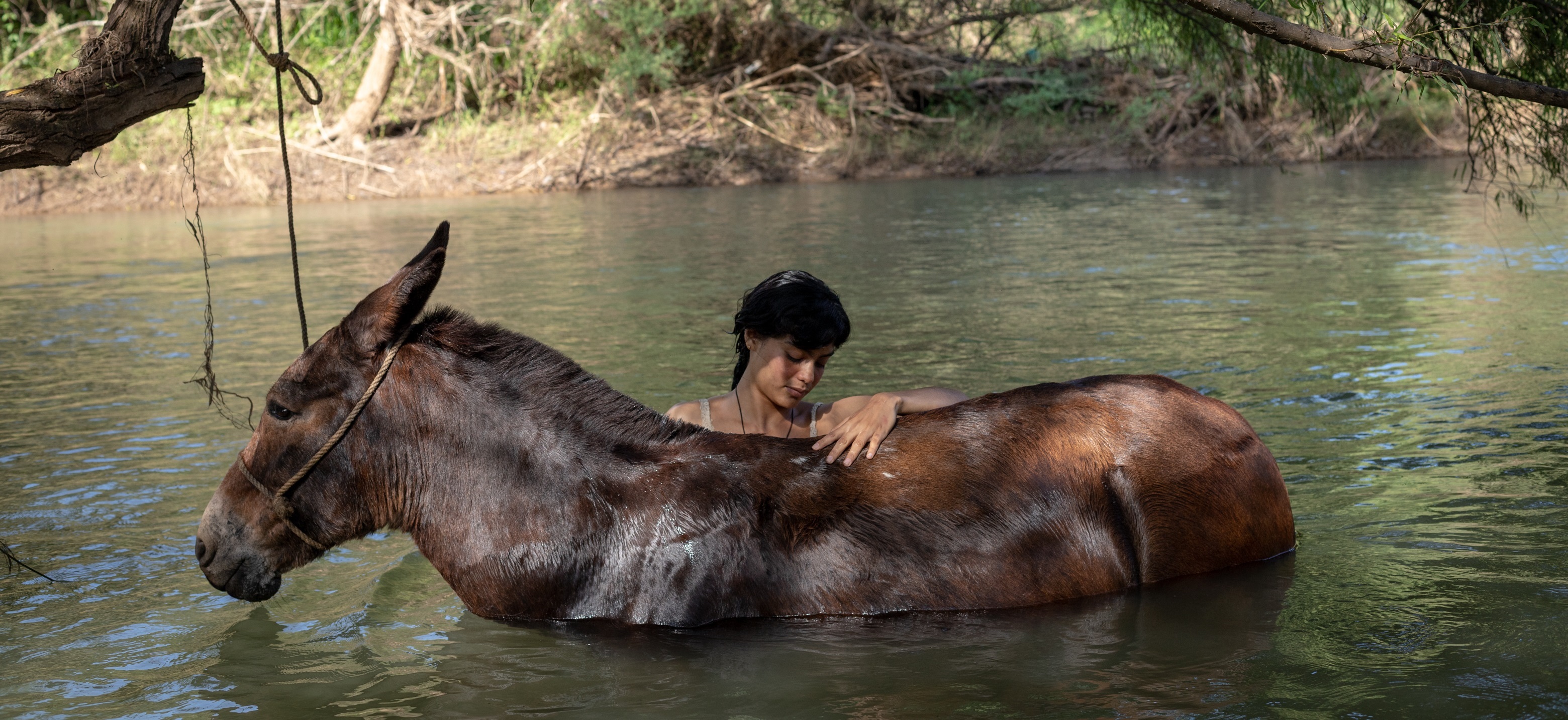 La arriera, de Isabel Cristina Fregoso: por los senderos ocultos de Jalisco