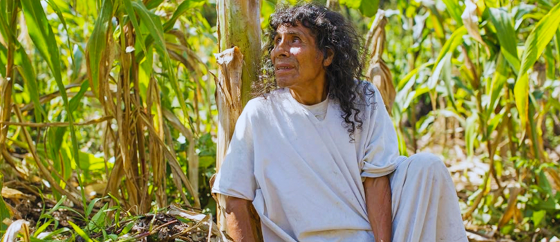 La canción del último sabio lacandón, de Cole Smothers: los cantos del balché