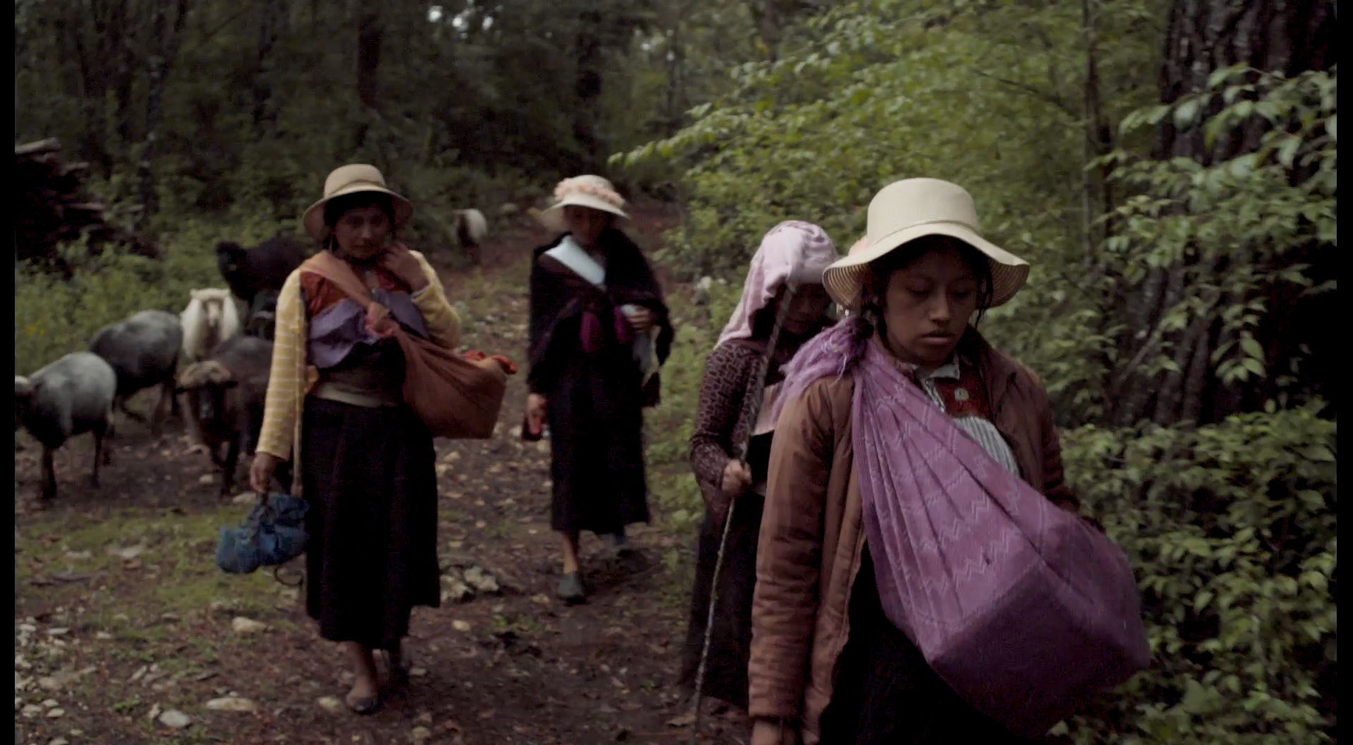 Formas de atravesar un territorio, de Gabriel Domínguez Ruvalcaba: el encuentro con las pastoras