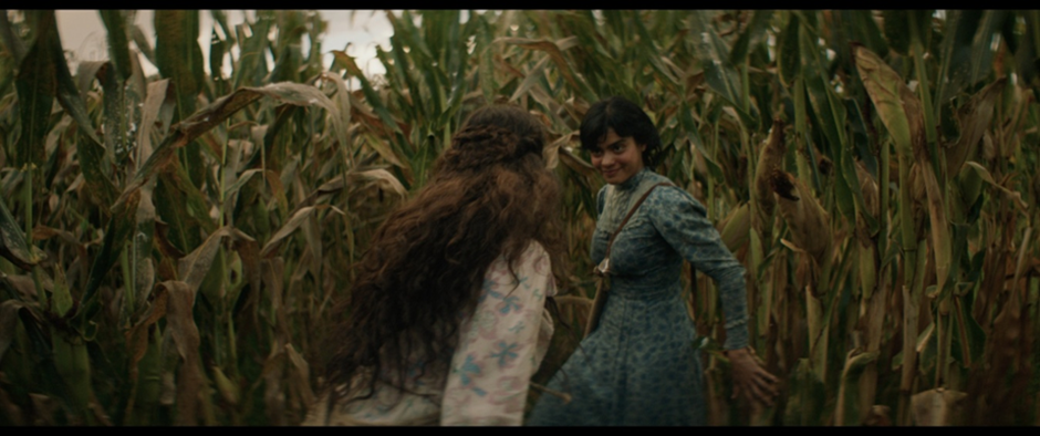 ‘La arriera’ de Isabel Cristina Fregoso: por los senderos ocultos de Jalisco