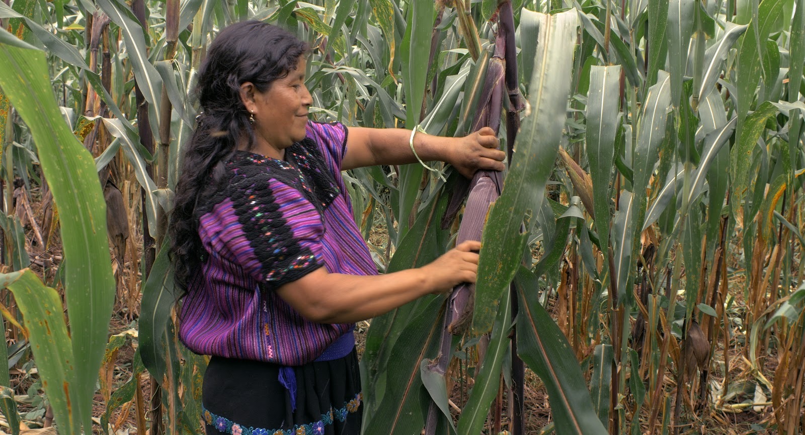 ‘Li cham (Morí)’ de Ana Ts’uyeb: crónica de las mujeres que renacen