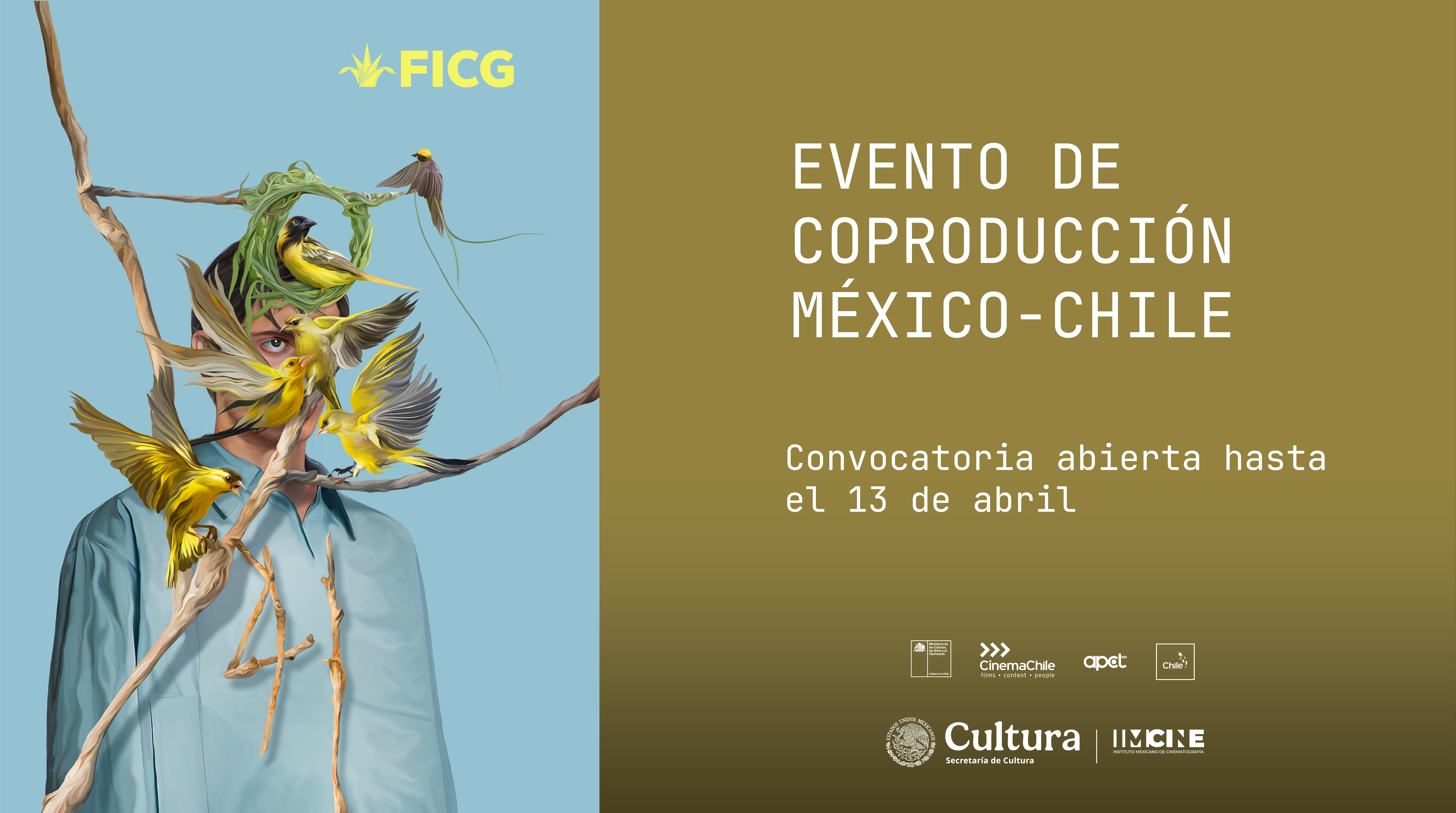 Convocatoria abierta: Evento de Coproducción México-Chile