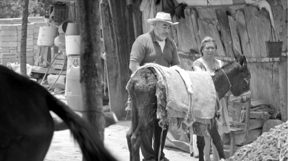‘Techiq’, de Missael Sánchez Arce: el canto de un pájaro que recrea a un pueblo