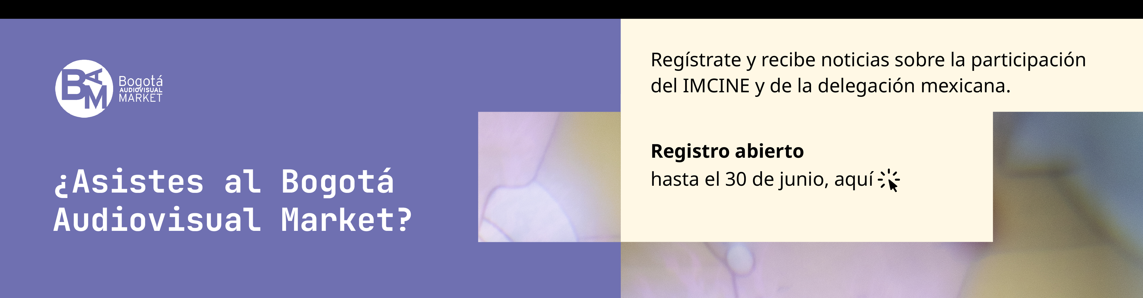 Imagen del carrusel