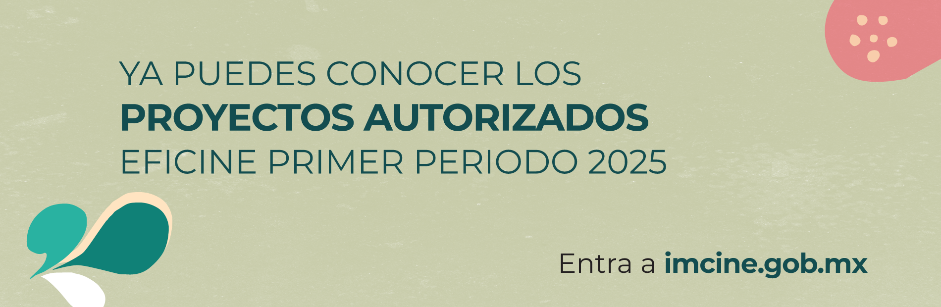 Eficine 2025 autorizados
